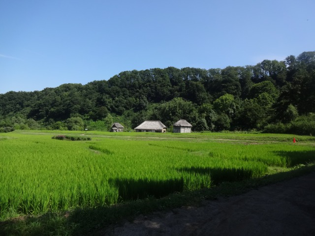 こちらは農村エリア。美しい田園風景を見ながら歩いていきます