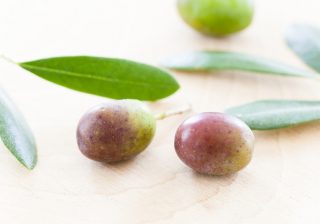オリーブの実に緑と黒があるのはなぜ？