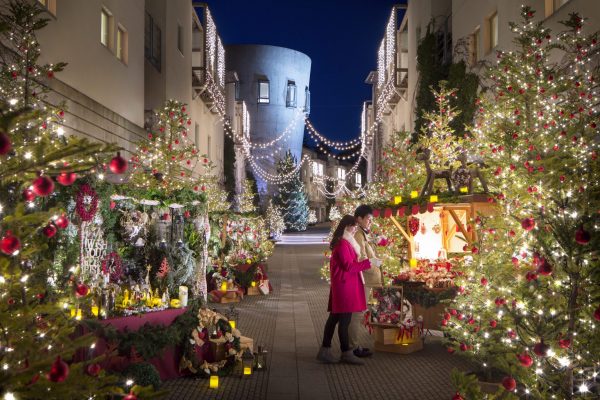 石畳の回廊「ピーマン通り」、来るクリスマスは超ロマンチックに!