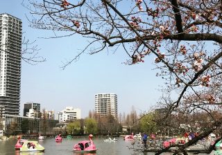上野でアートと桜の春デート♡ 和の展覧会＋お花見スポット2選