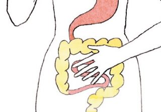 「便を毎日観察しよう」医師が教える美腸トレーニング3つ！