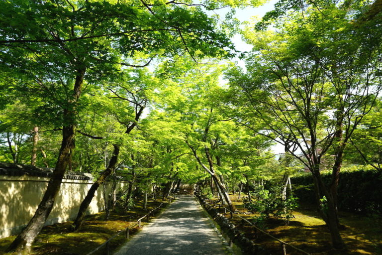 DSC09228-のコピー