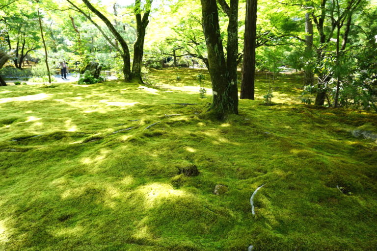 DSC09280-のコピー
