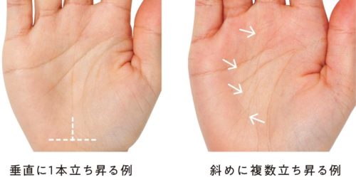 コレであなたの運命がわかる？ “運命線”の見方とは…｜infoseekニュース