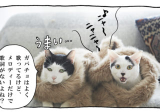 【猫写真４コママンガ】「ヒットメーカーコンビ誕生」パンチョとガバチョ ＃92