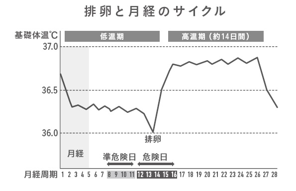 破け た コンドーム