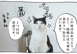 【猫写真４コママンガ】「スピーチ上手」パンチョとガバチョ ＃96