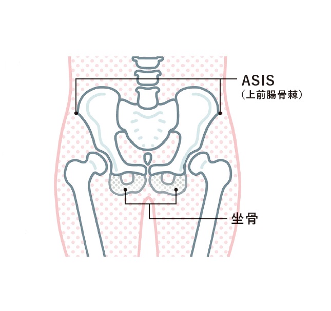 1年未満でll Xsに ダイエットの鍵は 骨 にあった Ananニュース マガジンハウス