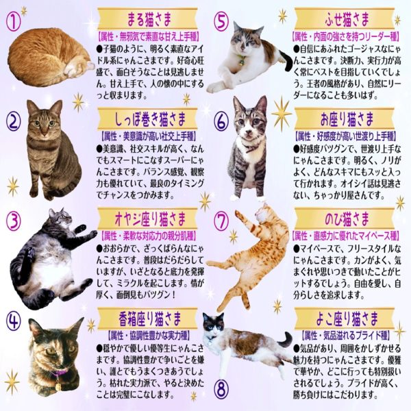 猫さま占い 災いを呼ぶ猫さまは 3日 9日運勢ランキング 文 占い 章月綾乃 原作 イラスト 犬養ヒロ Ananweb マガジンハウス