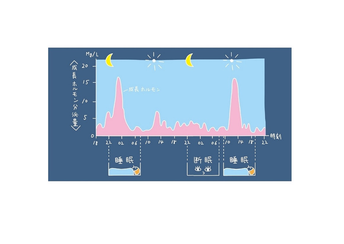 実は 睡眠の ゴールデンタイム はない 驚きの 新 常識とは Ananニュース マガジンハウス