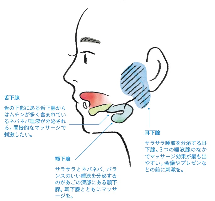 “唾液”は年齢とともに減少…“唾液の量”をUPする4つの方法