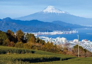 City of Shizuoka Finder：お茶の魅力があふれる 静岡市への週末旅。伝統と革新の味わいに心躍る。