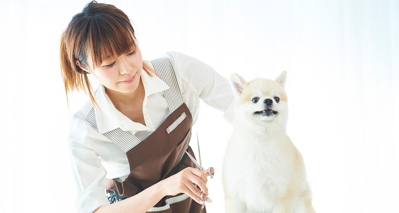 ブラック系芸能人愛用 トリマーを目指す方現在トリマーの方 トリミング グルーミングセット まとめ売り その他ブラック系 24 450 Www Laeknavaktin Is