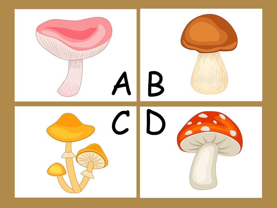 他の治療選択肢