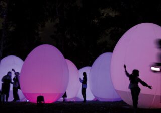 夜の植物園に幻想的な光のアートが出現!? チームラボの夜間常設展がオープン