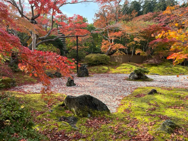 松島公園　紅葉