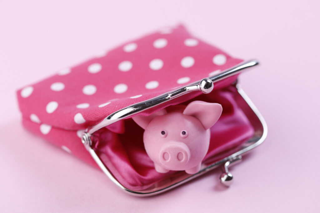 Pink Purse with Piggy Bank