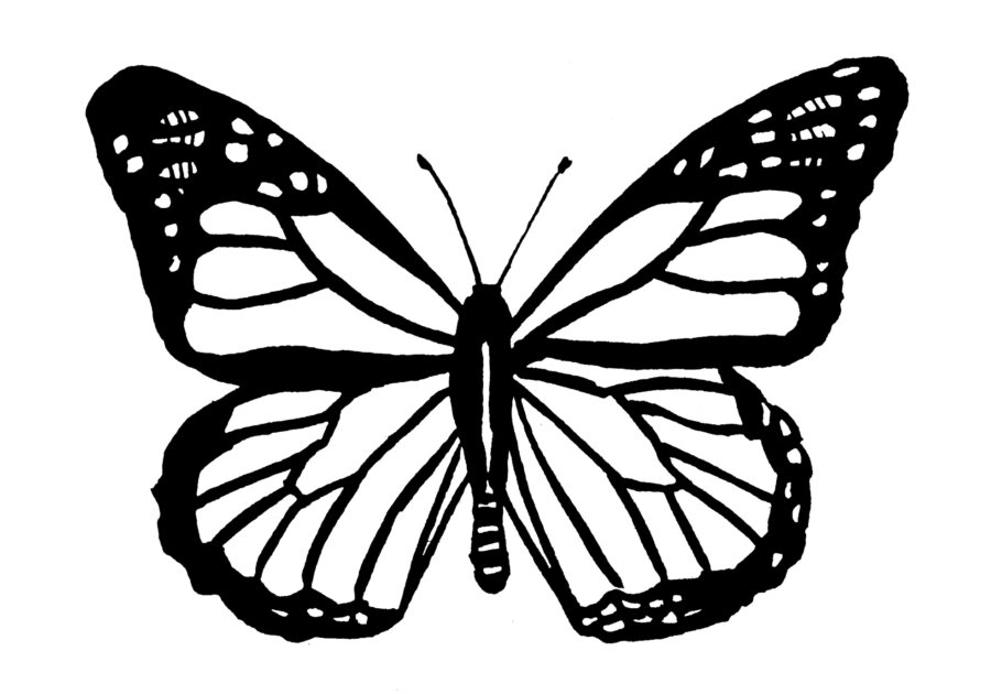 この蝶を塗るなら何色？【心理テスト】あなたが「暇なときにしたほうがいいこと」