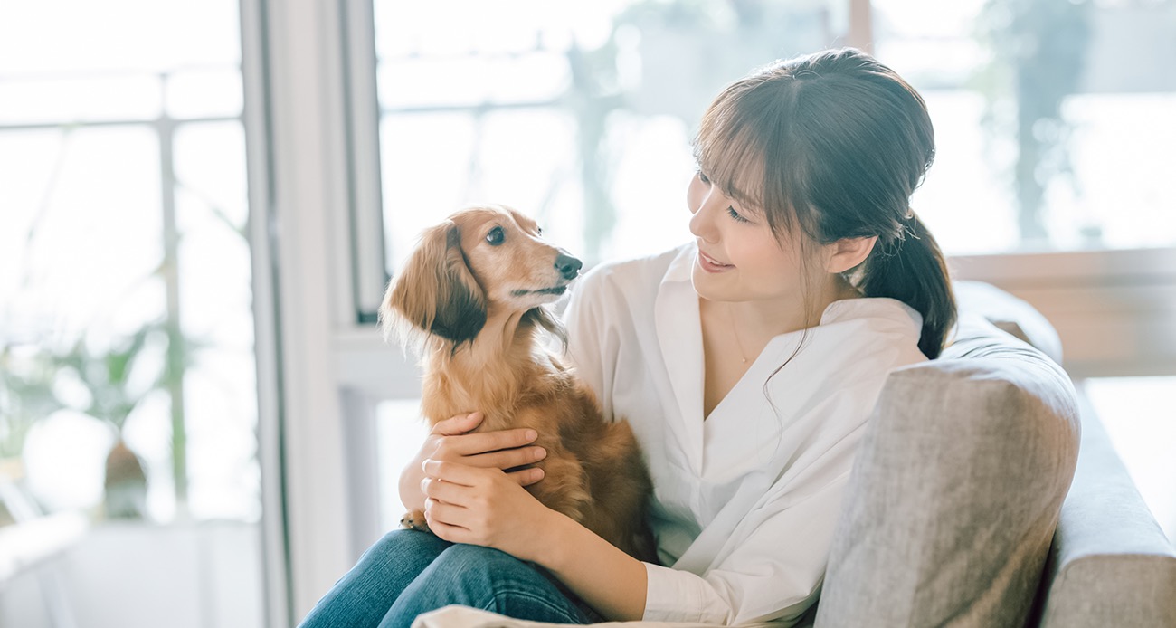 犬・猫ペットブリーダー資格”で専門的な知識を。需要もあり人気の「ブリーダー資格」種類や取得方法を解説！ – 文・塚田牧夫 PR・日本資格振興協会 |  ananweb – マガジンハウス