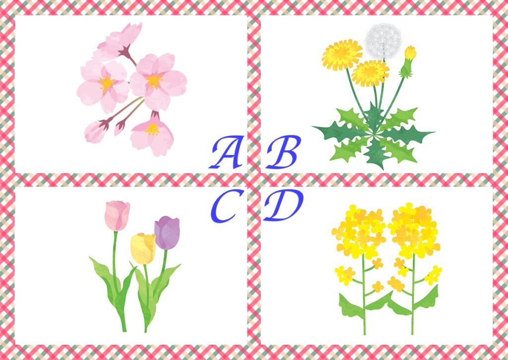 Q .あなたは“春の花”と聞くと、どの花を思い浮かべますか？