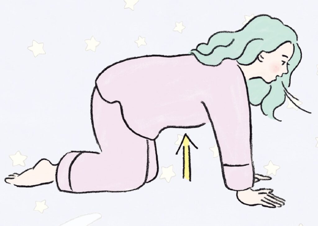 10. 膝から胸までのストレッチ