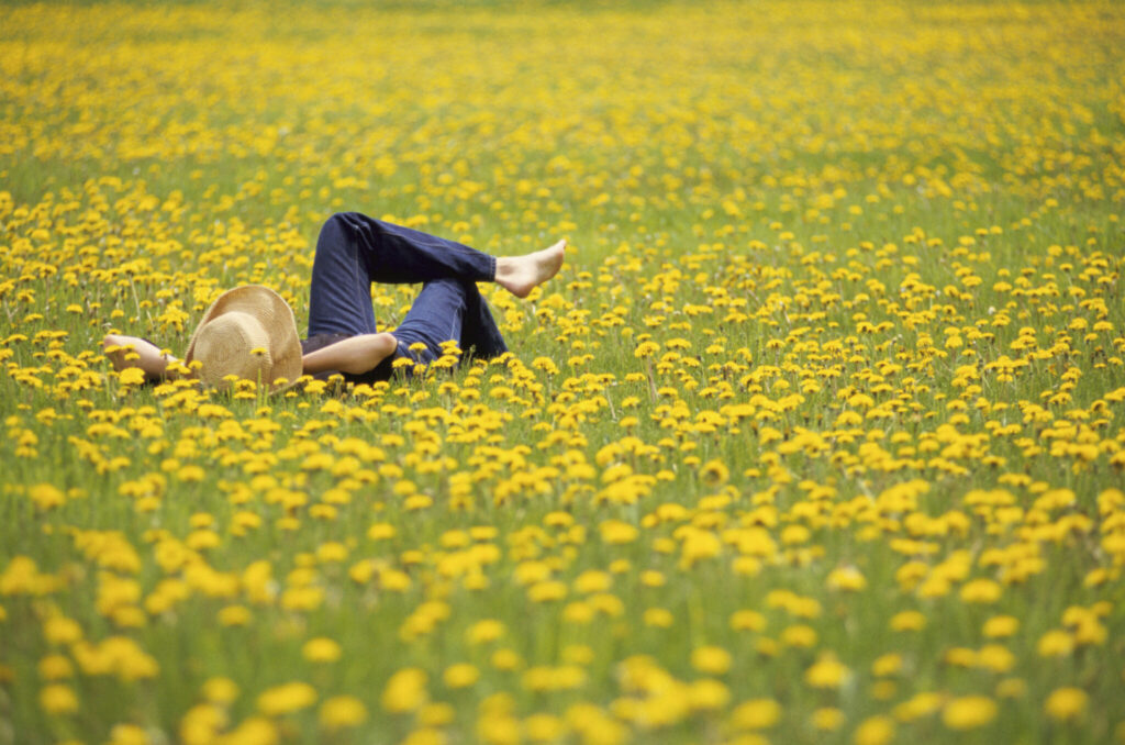 Woman lying in field of flowers