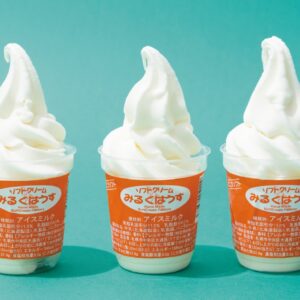 極上ソフトクリームも！ 初夏のおいしくてかわいい贈りもの“アイスクリーム”4つ
