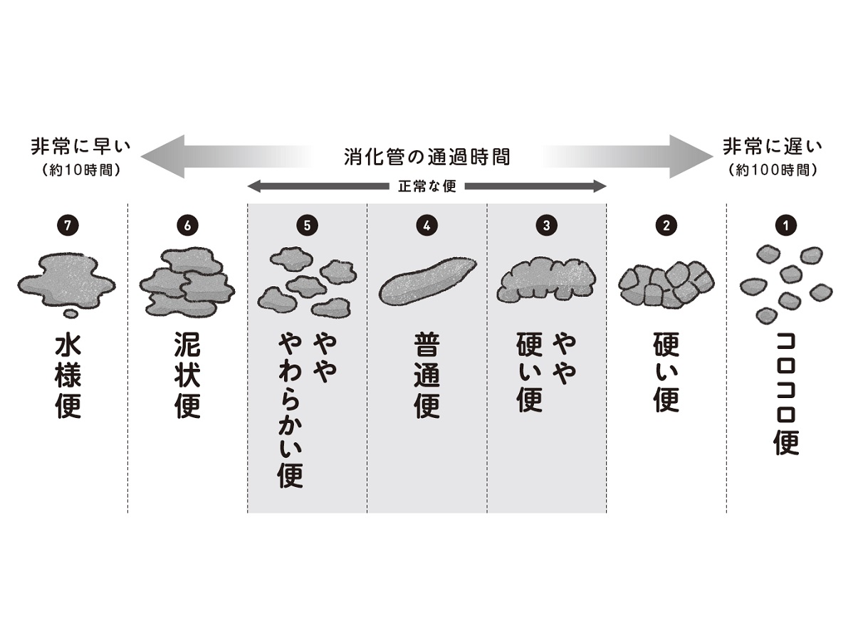 あなたの便のタイプはどれ？ 腸の状態を教えてくれる“観便”とは | anan