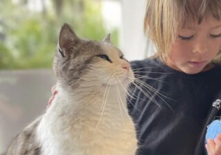 【画像】誰もいないな、よしっ！…飼い主のお母さんだけが知っている猫さまの秘密とは