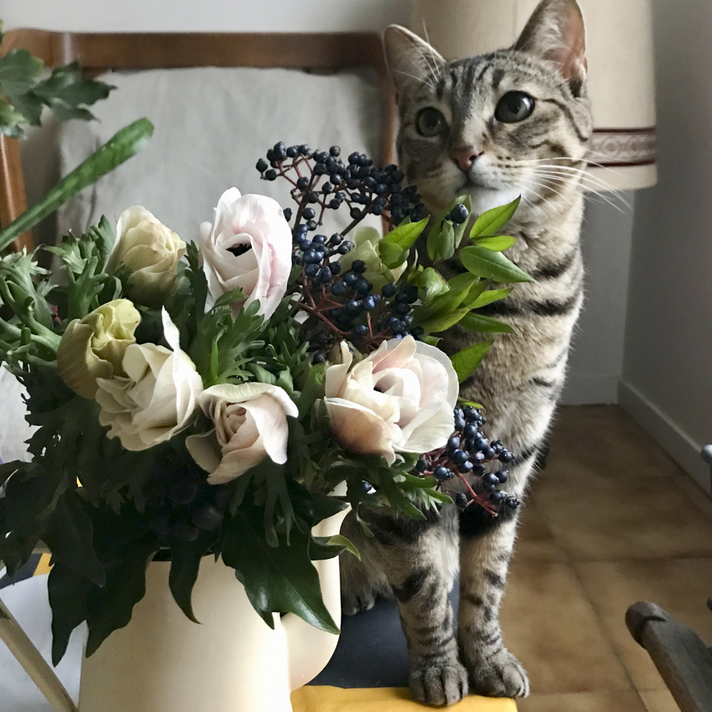 花に寄り添うトラ猫