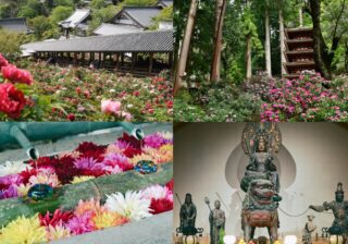 五感を揺さぶる奈良への旅。大和四寺巡礼へ。