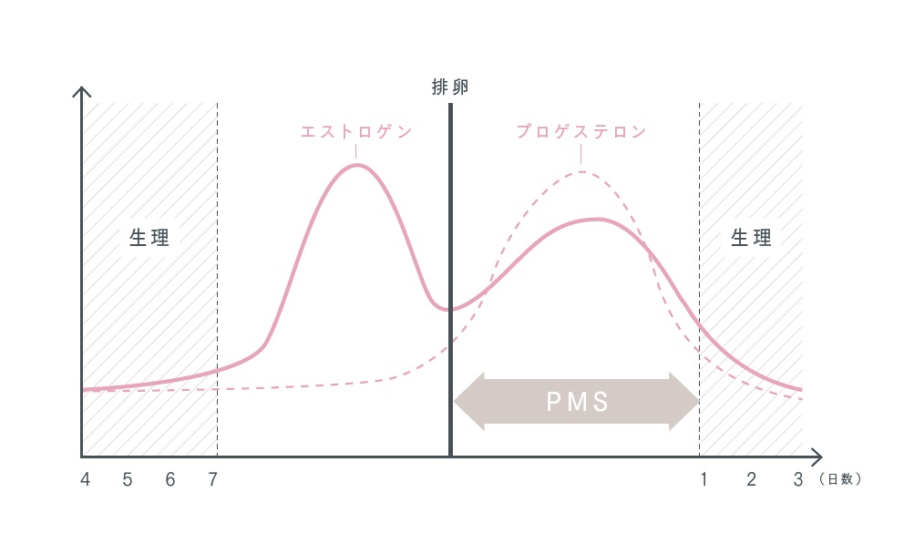 pms 生理