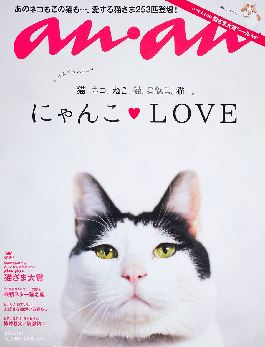 初の1冊丸ごと猫さま特集 – モフモフが止まらない | 時代を映すanan