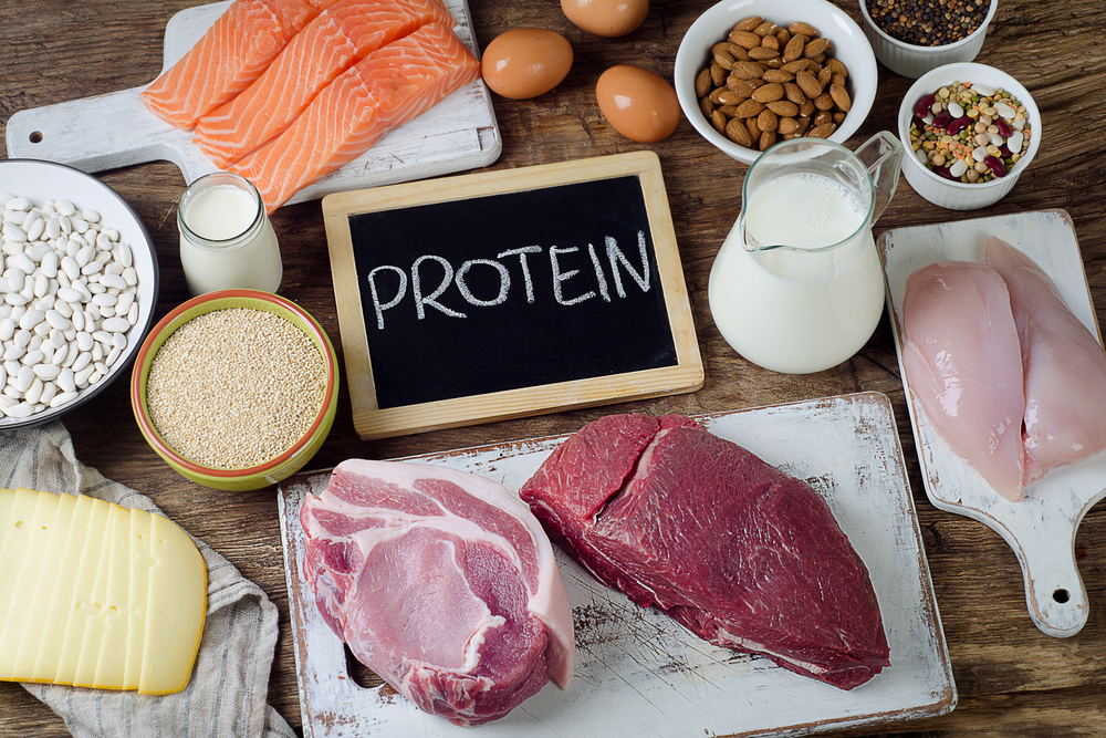 Best,Foods,High,In,Protein.,Healthy,Eating,And,Diet,Concept