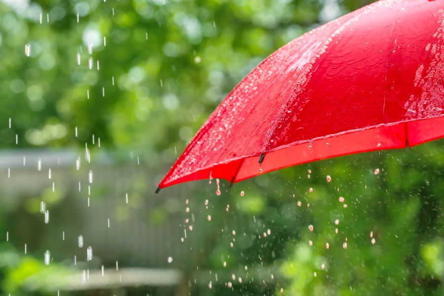 雨 梅雨 湿気 6月 7月 傘